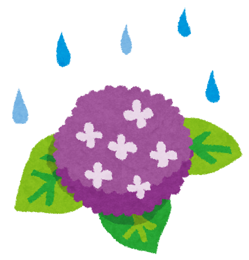 雨の日は、いつも以上の注意を！